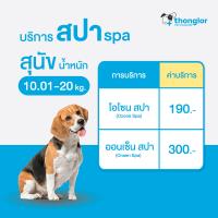 ราคา E Voucher Thonglor Pet Care Spa For Dogs ทองหล่อเพ็ทแคร์ บริการสปา สำหรับสุนัข (20948883633)