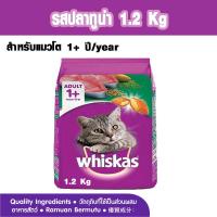 ราคา อาหารแมว วิสกัส ชนิดแห้ง แบบเม็ด พ็อกเกต แมวโต สูตรลูกแมว รสปลาทู รสทูน่า รสปลาทะเล วิสกัส WHISKAS Cat Food Dry Pockets DY (15251269286)