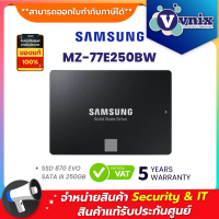 ราคา MZ 77E250BW Samsung SSD 870 EVO SATA III 250GB By Vnix Group (11192910637)