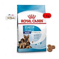 ราคา Royal Canin Maxi Starter monther babydog อาหารลูกสุนัขพันธ์ุใหญ่ และแม่ให้นม ขนาด 1กก (15688620874)