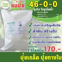 ราคา ปุ๋ยยูเรีย สูตร 46 0 0 แม่ปุ๋ย ปุ๋ยเกล็ด ปุ๋ยทางใบ (14882947409)