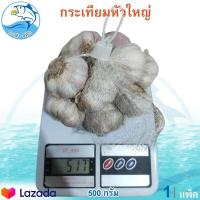 ราคา กระเทียมหัวใหญ่ 500กรัม 1แพ็ค กระเทียม กระเทียมไทย กระเทียมสวน กระเทียมแห้ง กระเทียมหัว สมุนไพร เครื่องเทศ เครื่องปรุงรส ของแห้ง ของฝาก (9859740754)