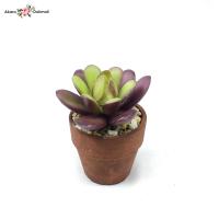 ราคา แคคตัสจิ๋วพร้อมกระถาง กระถางต้นไม้ปลอมจิ๋ว Artificial cactus with pot (4251970861)