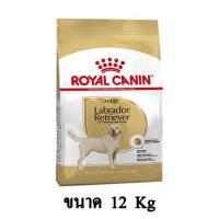 ราคา Royal Canin LABRADOR ADULT อาหารสุนัขโต พันธุ์ลาบราดอร์ แบบเม็ด ขนาด 12 KG (7878364598)