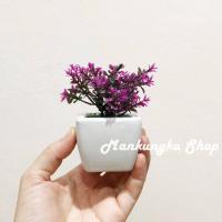 ราคา ขนาด 10 12 cm ต้นไม้ปลอม พร้อมกระถาง ดอกไม้ปลอม ดอกไม้ปลอมตั้งโต๊ะ (12362133873)