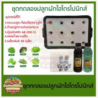 ราคา ชุดทดลองปลูกผักไฮโดรโปนิกส์ ปลูกผักไร้ดิน 12 ช่อง สำหรับมือใหม่ (10312638531)