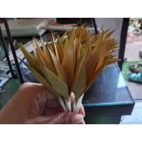 ราคา ริบบิ้น เหรียญโปรยทาน จุกถุงเงินถุงทอง ริบบิ้นกากเพชร 50 อัน (19245730877)