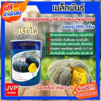 ราคา ส่งฟรี มีให้เลือก เมล็ดพันธุ์ฟักทอง ตราเจียไต๋ ขนาด 100 กรัม เมล็ดฟักทองบึงกาฬ ศรีเมือง16 ศรีเมืองทองใหญ่ 050 ปลูกง่าย ผลดก เมล็ดฟักทอง (17311737541)