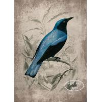 ราคา นกแก้วนกกระตั้วบิชีโน่ลายนกยูงวินเทจผ้าใบวาดภาพนกผึ้งและโปสเตอร์กุหลาบ69F 0717 (19767192676)