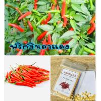 ราคา เมล็ดพริกจินดาแดง พริกจินดาแดง พริก ซื้อ 10 แถม 1 คละอย่างได้ (9961483718)