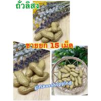 ราคา ถั่วลิสงปลอม ขายยก 15 เม็ด วัสดุผลิตจากพลาสติค (9768294477)
