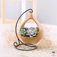 ราคา กระถางดินเผา ทรงชิงช้า กระถางต้นไม้ กระถางแคคตัส ไม้อวบน้ำ กุหลาบหิน cactus succulentหลากหลายสายพันธุ์ (9732122400)