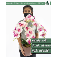 ราคา ดอกไม้ปลอม ดอกกล้วยไม้ปลอม สีขาวม่วง สูง 65 CM กระถางสีน้ำตาล พร้อมส่ง (6696444046)