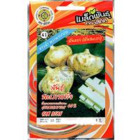 ราคา เมล็ดพันธุ์ มันแกว มันสะเภา ตราสี่ทิศ บรรจุ 5 กรัม 25 เมล็ด (8333428554)