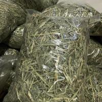 ราคา หญ้าทิมโมธีอัลฟาฟ่าสำหรับกระต่ายและแพรี่ด็อกขนาด1kg (16412020024)