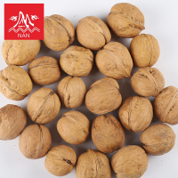 ราคา ถั่ววอลนัทเปลือกบางทานอร่อย500กรัมราคา核桃วอลนัท (19485555220)