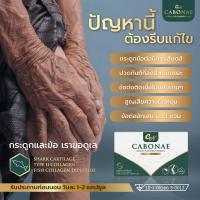 ราคา คาโบเน่ Carbonae กระดูกและข้อ ปวดข้อ ปวดเข่า ปวดขา ปวดหลัง ปวดเอว (21065644733)