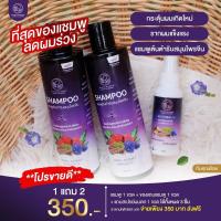ราคา แชมพู พรทิน่า ลดผมร่วง แก้ปัญหาผมร่วง ผมบาง ปลูกผม ลดการเกิดรังแค เร่งผมเกิดใหม่ ผมยาวไว ยาสระผม จากสมุนไพรไม่น้อยกว่า 5 ชนิด ขนาด 200 ml (12450824359)