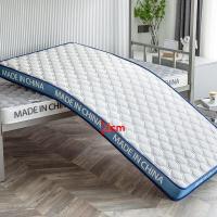 ราคา LZD 6CM Tatami Mattress Mattress Topper Tilam Convenient Mattress Protector Single Super Single Queen King Mattress Murah 床垫 (21296932983)