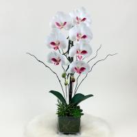 ราคา แจกันดอกไม้ประดิษฐ์ กล้วยไม้สีขาวจัดในแจกันแก้ว แจกันดอกไม้ปลอมตกแต่งบ้าน (2235302627)