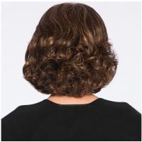 ราคา จัดส่งที่รวดเร็ว wig วิกผมหญิงวัยกลางคน ทรงผมบางส่วนผมหยิกสั้นเลือกสีไล่ระดับยุโรปและอเมริกาวิกผมหมวกตาข่ายกุหลาบสีน้ำตาลอ่อน วิกผมสวย (19633591666)