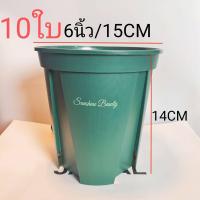 ราคา กระถางทรงสูง สายเขียว กระถางต้นไม้ทรงสูงสีเขียว กระถางต้นไม้พลาสติก กระถางแคคตัส กระถางญี่ปุ่น QS (11080779913)