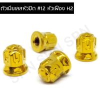 ราคา น๊อตตัวเมีย เบอร์ 12 หัวปิด น็อตตัวเมียหัวปิด เบอร์ 12 หัวเฟือง H2 (6380356743)