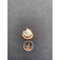 ราคา จี้หอยสังข์ธรรมชาติ Natural conch pendant Gold and silver plated (20050293872)
