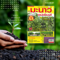 ราคา หนังสือ มะนาว วงบ่อซีเมนต์ ในกระถาง 5 ภาค บังคับนอกฤดู การเลือกพันธุ์มะนาวเพื่อปลูกในวงบ่อซีเมนต์ การขยายพันธุ์มะนาว (15967252700)