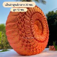 ราคา หมอนฟักทอง หมอนรับไหว้ (18937456092)
