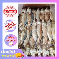 ราคา ปลาทูหอม ปลาทูหอมเค็ม ปลาทูหอมราคา ปลาทูหอมราคาส่ง ไซส์เล็ก (854604017)