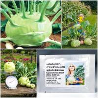 ราคา เมล็ดพันธุ์ กะหล่ำ ปมยักษ์ Superschmelz Giant White Kohlrabi Seed 200 เมล็ด คุณภาพดี ราคาถูก ของแท้ 100 (13481713925)