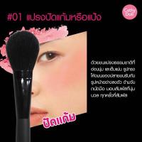 ราคา Cathy Doll แปรงแต่งหน้า แปรงปัดแก้ม 01 Blush Brush (20651560543)