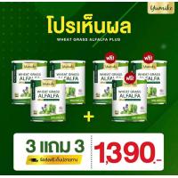 ราคา 3 แถม 3 ส่งฟรี ยูมิโกะ วีทกราส อัลฟาฟ่า คลอโรฟิลล์ ไฟเบอร์ ดีท็อก ลำไส้ สารพิษ ปริมาณ 200 กรัม Wheatgrass Alfalfa yumiko 200 g (19924825862)