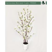 ราคา ต้นซากุระปลอม สีขาว สูง 100 CM (13222379412)