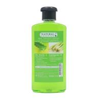 ราคา แชมพู ว่านหางจระเข้ ผสมตะไคร้ และครีมนวดผม Natural Essences 350 มล (13379269208)