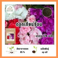 ราคา เมล็ดพันธุ์ดอกเทียนซ้อน บรรจุ 120 เมล็ด (21041708149)