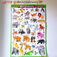 ราคา โปสเตอร์ my cat แมวพันธุ์ต่างๆ ทาสแมว โปสเตอร์สื่อการเรียนรู้ วิเชียรมาศ ขาวมณี สีสวาท ลูกแมว แมวโลกน่ารู้ (13751553267)