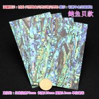 ราคา วัสดุ DIY เปลือกหอยสีขาวเปลือกหอยธรรมชาติเปลือกหอยหอยเป๋าฮื้อเปลือกหอยหอยเป๋าฮื้อเปลือกหอยสีขาว (20947304268)