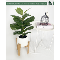 ราคา ต้นไทรใบสักปลอม สูง 60 CM พร้อมกระถางโมเดิร์นสีขาว (17365600786)