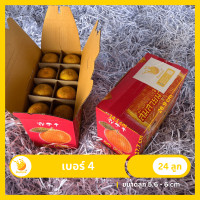 ราคา ส้มสายน้ำผึ้ง อ ฝาง ส้มตรุษจีน (20686484652)