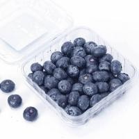 ราคา พร้อมส่ง 125g บลูเบอร์รี่สด นำเข้า Blueberry เน้นส่งล็อตใหม่ (21140054987)