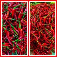 ราคา พริกสด จินดา 500 กรัม ครึ่งโล 50 บาท สวยๆ ใหม่สดทุก ครับผม (20821450687)
