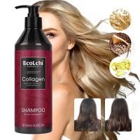 ราคา ECOLCHI COLLAGEN SHAMPOO แชมพูสำหรับผมทำสี (21183497266)