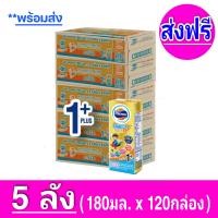 ราคา ส่งฟรี x5ลัง Exp 04 10 2023โฟร์โมสต์ โอเมก้า 369 โกลด์ 1 พลัส Foremost Omega Gold 1 Plus UHT 180 มล รสจืด ขายยกลัง x5 ลัง รวม 120กล่อง (13049945560)