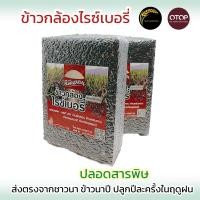 ราคา ข้าวกล้องไรซ์เบอรี่ ปลอดสารพิษ ส่งตรงจากชาวนา (17347689147)