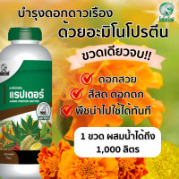 ราคา บำรุงดอกดาวเรือง ต้นไม่โทรม ด้วยอะมิโนพืช 18 ชนิด ดอกสวย สีสด ดอกใหญ่ ขนาด 1 ลิตร (21023843134)