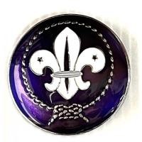 ราคา ลูกเสือ เข็มลูกเสือโลกครู เข็มผู้กำกับ รองผู้กำกับ (19590088616)