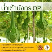 ราคา เมล็ดพันธุ์น้ำเต้ามังกร ตราพยัคฆ์ติดปีก 20 เมล็ด เมล็ดพันธุ์ เมล็ดพืช เมล็ดพันธุ์ผัก น้ำเต้า (13482894303)