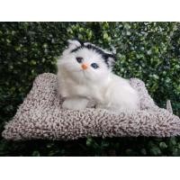 ราคา ที่ดูดกลิ่นอับในรถยนต์ ตุ๊กตาดับกลิ่นรถ ตุ๊กตาน้องแมวเหมือนจริง น้องแมวดูดกลิ่นแบบนั่ง มีหลายลาย (8354435118)